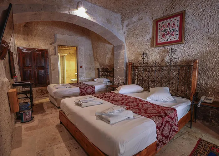 호텔 Century Cave 2*